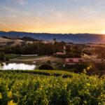 Fontanella Vineyard