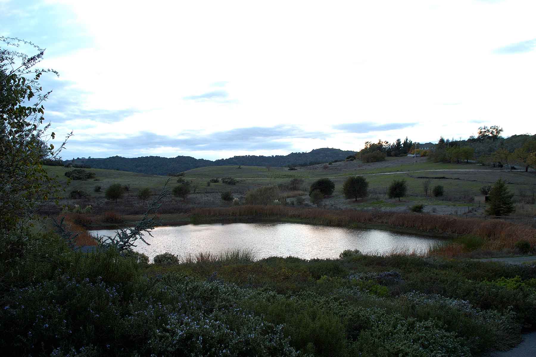 2005-November Pond